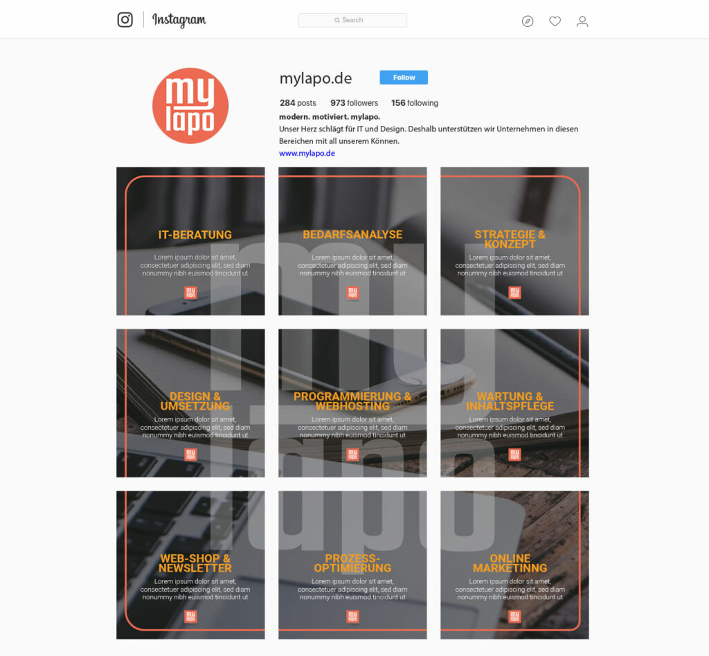 Leon Stadler MyLapo Online Marketing Instagram Vorschau 5